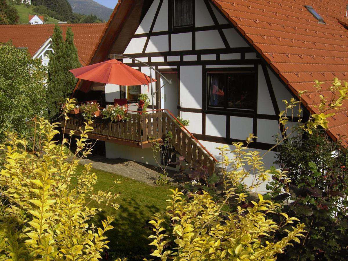 Schwarzwaldhaus Seebach Villa Exterior photo
